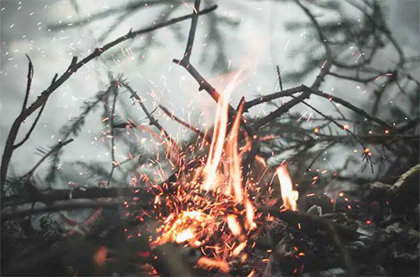 Catchy insurance slogan example 2