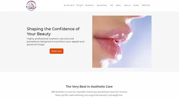 Screenshot of SN Aesthetics website built by Ediwriter