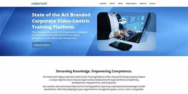 Screenshot of Videonitch website built by Ediwriter