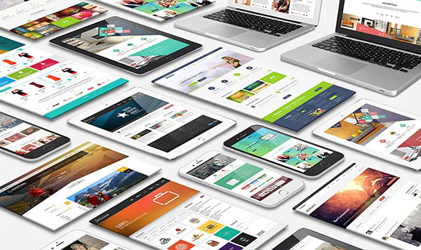 Business website development